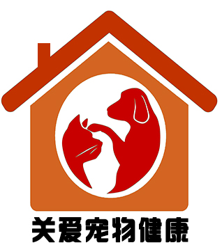 关于公司